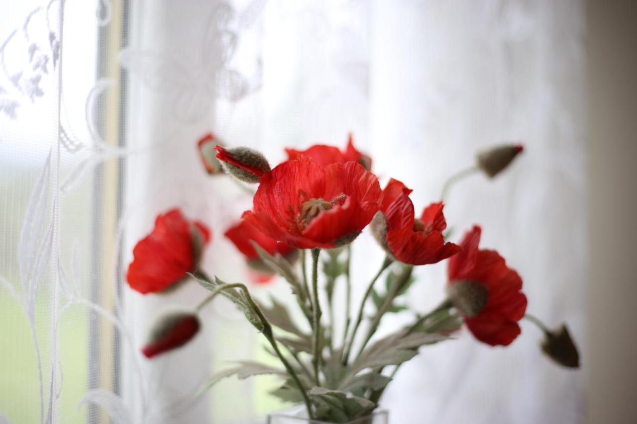 The Glen Bed And Breakfast Drumnadrochit Bagian luar foto
